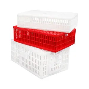 Slaughterhouse Verwerking Vereist Grote Sliding Top Deur Kleine Vogel Transport Krat Voor Duiven - Product Image 1