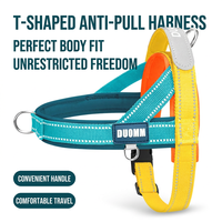 Harnais pour chien personnalisé, nouveau modèle, anti-traction, en nylon, réfléchissant, anti-étranglement, anti-explosion, sangle de poitrine, protection du cou