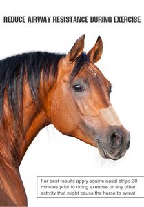 Tiras Nasales Equinas de Color Piel Estándar, Instrumento Veterinario para el Cuidado de Mascotas - Product Image 6