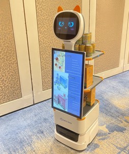 Robot publicitaire humanoïde intelligent autonome pour la livraison de nourriture avec écran de 27 pouces pour les fêtes FD08 - Nouveauté 2024 - Vente Flash - Product Image 1
