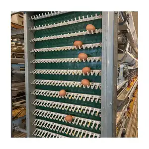 Poultry Farm Poultry Farm Cage Poultry Farm Automatic Galvanized Battery Chicken Animal Cages For Layer