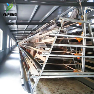 Cage à poulets de type A <span class=keywords><strong>pour</strong></span> 5000 oiseaux, avec système d'abreuvement entièrement automatique, <span class=keywords><strong>pour</strong></span> élevage avicole en Tanzanie - Product Image 3