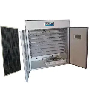 Intelligent Eggs 1848 solar incubator equipment for incubating chickens ducks and geese