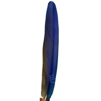 Plumes de faisan naturelles brutes pour la confection de costumes de carnaval, plumes de perroquet 20-50cm, bleues, pour coiffures, accessoires de tête, sacs à dos et danse