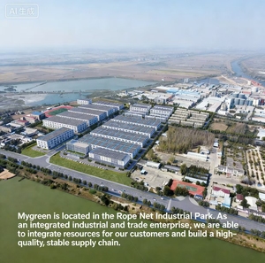 <span class=keywords><strong>Malla</strong></span> Antimosquitos Transfronteriza de 2.5x10m para Invernaderos y Jardinería Agrícola, para Control de Plagas de Plantas - Product Image 3