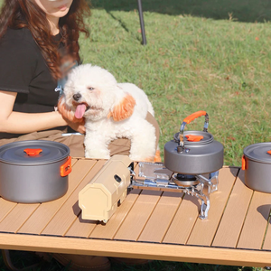 Venta al por mayor barbacoa al aire libre y cocina interior portátil Mini estufa <span class=keywords><strong>de</strong></span> gas <span class=keywords><strong>butano</strong></span> Camping estufa plegable quemador <span class=keywords><strong>de</strong></span> gas <span class=keywords><strong>con</strong></span> <span class=keywords><strong>horno</strong></span> - Product Image 5