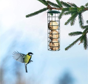 Alimentadores de comida y bebidas para pájaros, accesorios de jardín transparentes y automáticos, alimentador colgante de semillas para aves, nuevo estilo, 2023 - Product Image 4