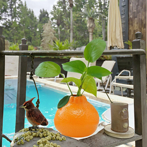 Jarrón Hidropónico de Cerámica Creativo, Ecológico y Moderno, Tallado a Mano, para Plantas Verdes y Naranjas, Decoración para Hogar, Escritorio, Balcón y Jardín, Venta Caliente - Product Image 3