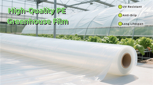 Film de serre en PE de haute qualité, résistant à la chaleur et au soleil, couverture en polyéthylène non fondable pour serre agricole - Product Image 2
