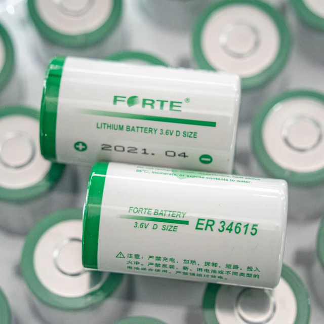 Forte ER34615 3.6V D 19000mAh Lithium Battery for Smart Meter High Capacity, Reliable, and Durable