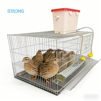 Cages à cailles vivantes avec mangeoire et abreuvoir pour la production d'œufs