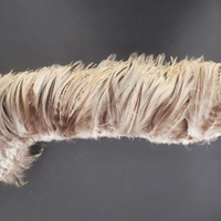 Plumes de grison en gros, couleur naturelle, pour la fabrication de mouches de pêche, costumes de carnaval et accessoires