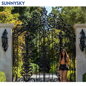 Sunnysky Porte d'allée électrique moderne de sécurité personnalisée Portes d'allée motorisées <span class=keywords><strong>en</strong></span> aluminium <span class=keywords><strong>Portail</strong></span> <span class=keywords><strong>coulissant</strong></span> <span class=keywords><strong>en</strong></span> aluminium pour villa - Product Image 3
