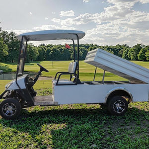 Chariot de golf à gaz 1-2 passagers Buggy Car Pickup Truck Certified EEC for Hunting Golf Courses - Product Image 6