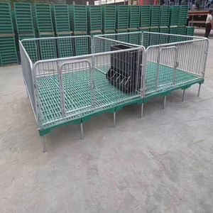Cage <span class=keywords><strong>de</strong></span> maternité commerciale pour porcelets avec plancher BMC et mangeoire anti-diarrhée - Product Image 6