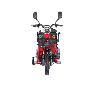 Triciclo Eléctrico Low <span class=keywords><strong>Pride</strong></span> 2023, Batería de Litio de 48v20A, Tres Ruedas, Neumático de Vacío, <span class=keywords><strong>Scooter</strong></span> Eléctrico para Adultos - Product Image 2