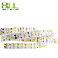 Bande led double rangée SMD 5050 120leds/m 3000K simple couleur blanc chaud flexible pour l'éclairage de décoration de Noël