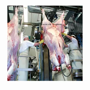 Équipement d'abattoir de vaches de bon service Machine à écorcher hydraulique de type poste unique Utilisation d'une usine d'abattage pour la transformation de la viande