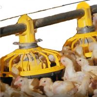 Système d'équipement de ligne de contrôle automatique pour l'alimentation et l'abreuvement des poulets de chair en élevage avicole, conception moderne