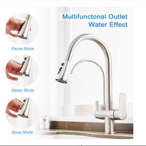 <span class=keywords><strong>Rubinetto</strong></span> da Cucina YenvQee <span class=keywords><strong>con</strong></span> Ionizzatore a Induzione, Acqua Calda/Fredda, Rotazione a 360 Gradi, Spruzzatore Telescopico <span class=keywords><strong>con</strong></span> <span class=keywords><strong>Filtro</strong></span> per Uso Domestico - Product Image 4