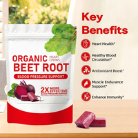 Gummies de Coenzyme Q10 de Betterave Personnalisables en Gros (OEM) – Antioxydant, Énergie et Santé Intestinale – Soutient la Vitalité