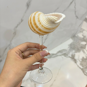 99 Gold Data Handcrafted Shell Jewelry <b>Tray</b> Glass Base Coastal Breeze Design Wedding Gift for <b>Dressing</b> <b>Table</b> Decoration 20-100ml - Product Image 1