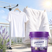 Lessive en poudre jetable écologique personnalisée 4,5 kg, haute densité, parfum lavande, forte action anti-taches, faible mousse