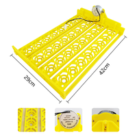 Couveuse automatique pour poulets, canards, oies, cailles, 32 œufs, panier à fleurs, mini plateau à œufs, 220V/110V/12V