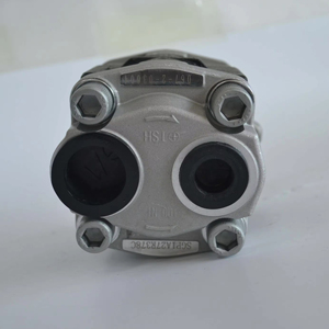 Piezas de montacargas <span class=keywords><strong>MANON</strong></span> 67110-N3070-71 Conjunto de bomba de aceite FD/GZN20 ~ 30 Accesorios - Product Image 6