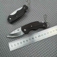 Klein En Lichtgewicht Mini Zakmes Outdoor Camping Edc Fruitmes Camping Vouwmes