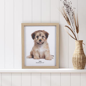 20 x25 ס "מ הסיטונאי באיכות גבוהה תפאורה הביתה זיכרון לחיות מחמד כלב טביעת רגל תמונה מסגרות - Product Image 2