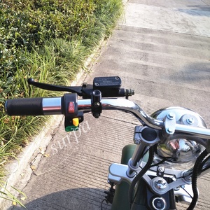 2000w deux 60v1 2AH/20AHbattery roue en aluminium amovible vélo/vélo/citycoco <span class=keywords><strong>scooter</strong></span> électrique de gros <span class=keywords><strong>pneu</strong></span> de corée - Product Image 3