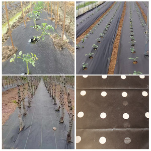 90GSM PP avec UV agriculture serre paysage tissu tapis de mauvaises herbes jardin <span class=keywords><strong>couvre</strong></span>-sol pour la plantation d'arbres - Product Image 5