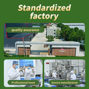 Base de marmite au poivre de vigne 500g Base de marmite au poivre vert de Chongqing Huile de boeuf épicée <span class=keywords><strong>Sauce</strong></span> d'assaisonnement au poisson bouilli du <span class=keywords><strong>Sichuan</strong></span> - Product Image 6