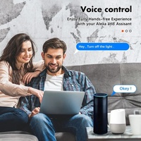 Tuya WiFi Smart 30A prise d'écran tactile haute puissance domotique pour lampes et lanternes App télécommande système de maison intelligente