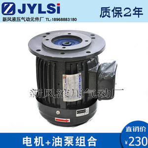 Bomba de Aceite para Motor de Eje Interno Trifásica de 380V/220V, 0.75KW/1.5KW/2.2/3.75KW+VP20 VP30FA3, Bombas Hidráulicas - Product Image 3