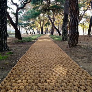 New 100% Eco Friendly Coconut Fiber Coir <b>Mat</b> <b>Roll</b> From Vietnam Brown Walkway Paving <b>Mat</b> Natural Coir Flooring Size 0.8*10m - Product Image 1