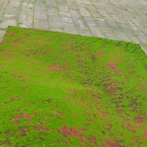 Musgo de parede artificial, decoração interna, tapete de piso para fundo de parede verde