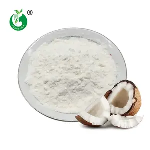 Wholesale Private Label Water Soluble Spray Dried Bulk Coconut Milk Powder