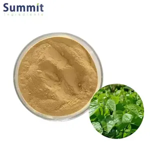 High Quality Mulberry Leaf Extract Powder Mulberry Leaf Extract Mulberry Leaf Powder