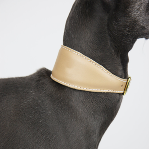 <span class=keywords><strong>Collar</strong></span> de entrenamiento para perros de cuero multicolor Sighthound, conjunto de <span class=keywords><strong>Collar</strong></span> ajustable para perros, <span class=keywords><strong>Collar</strong></span> personalizado para mascotas, accesorios para mascotas - Product Image 2