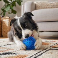 Balle à mâcher interactive moderne pour chien en TPR, résistante, pour le nettoyage dentaire, disponible en 2 tailles
