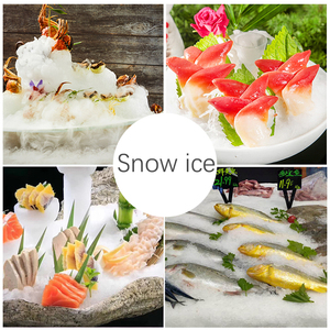 Nhà Máy bán hàng trực tiếp 100 kg/giờ Tuyết ICE Máy Maker hạt Ice Maker - Product Image 6