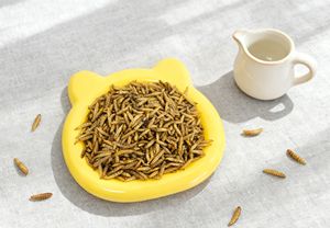 Gusanos Soldados Negros Secos al por Mayor para la Alimentación de Todo Tipo de Animales - Product Image 2