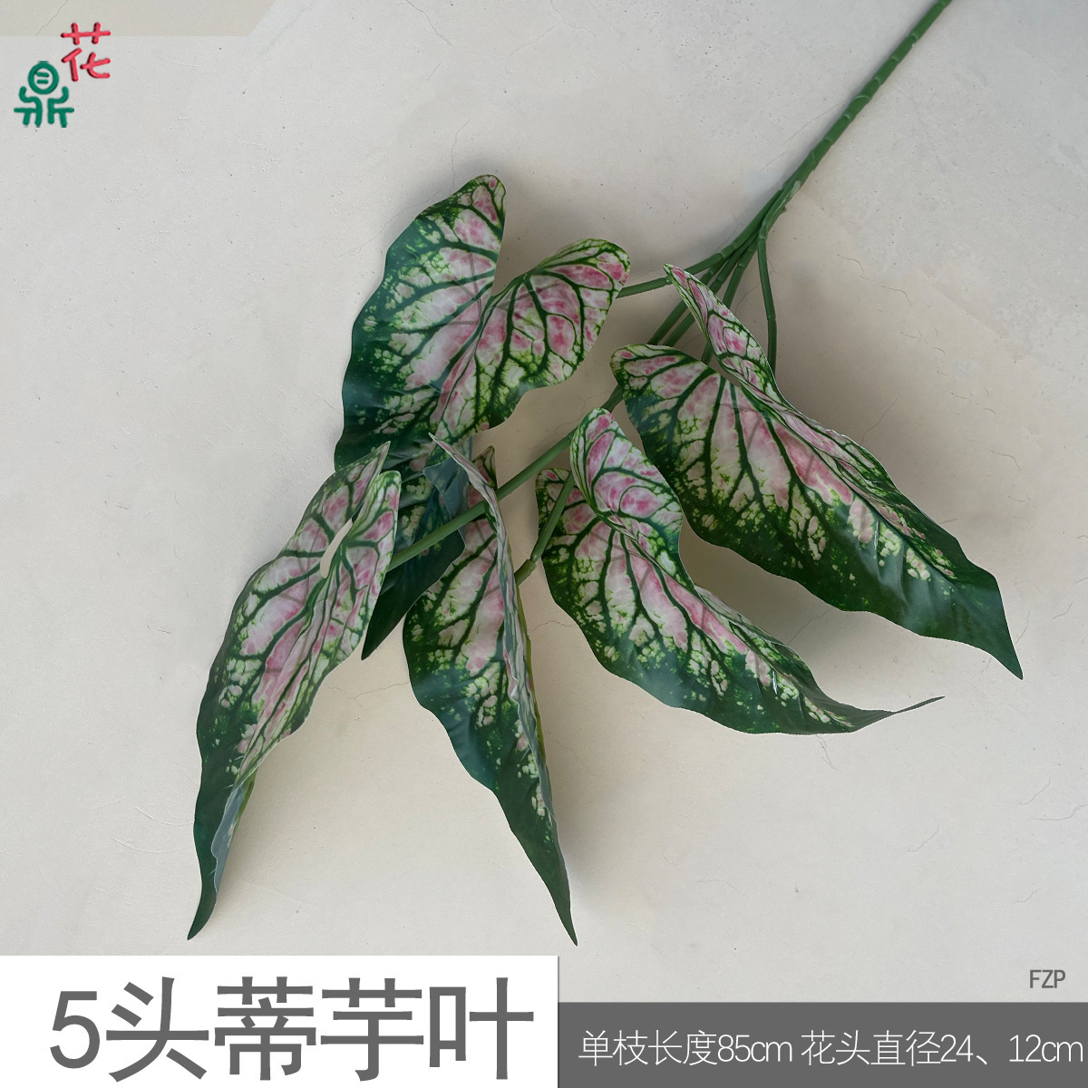 Feuilles de taro à cinq têtes FZP Rose noyau vert