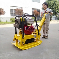 Compacteur à plaques vibrant jaune 5,5 CV 50x35 cm avec moteur à économie d'énergie pour le compactage et le terrassement en construction