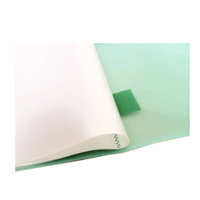 Plástico A4 20 Bolsillos Pantalla Clearbook Hoja Protector PP Carpeta de documentos transparente