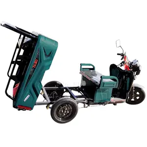 Electric Tricycles 2024 Most 3 Wheel Cargo Enclosed Electric Tricycle 4 Door Electric Tricycles Under $400 Open 501 - 800W