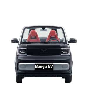 Nouveau véhicule électrique de haute qualité mode <span class=keywords><strong>Mini</strong></span> <span class=keywords><strong>Cabriolet</strong></span> deux portes deux places véhicule électrique adulte Wuling <span class=keywords><strong>Mini</strong></span> voiture à <span class=keywords><strong>vendre</strong></span> - Product Image 1