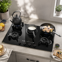 Cuisinière à gaz commerciale transfrontalière intégrée 880 mm à 4 brûleurs, à gaz liquéfié, avec allumage électronique, classe d'efficacité énergétique